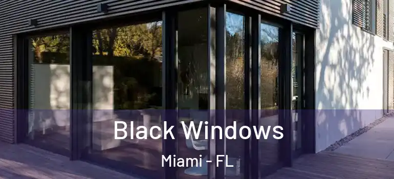  Black Windows Miami - FL