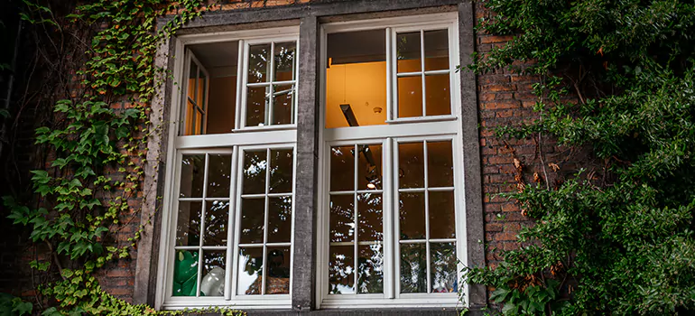 Energy Efficient Wood Windows in Miami, FL
