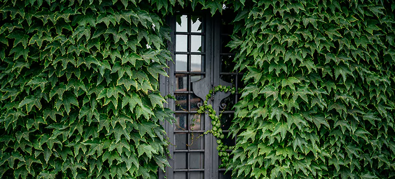 Garden Gate Repair in Miami, FL