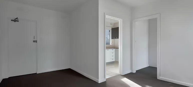 Dark Interior Doors in Miami, FL