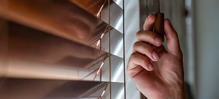 Double Roller Blinds in Miami, FL