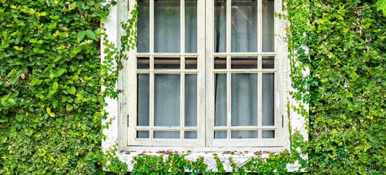 Garden Window Repair Near Me in Miami, FL