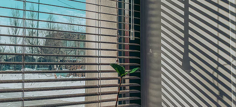 Commercial Window Blinds in Miami, FL