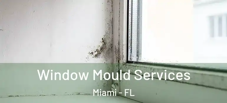  Window Mould Services Miami - FL